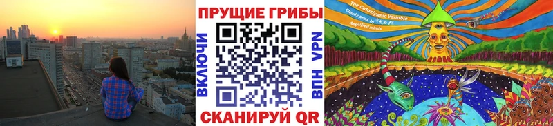 Купить  Гусиноозёрск  Псилоцибиновые грибы ЛСД 